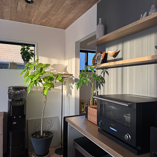 masuhome20さんの部屋