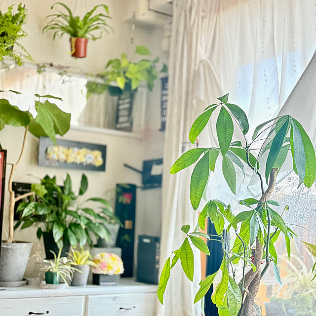 funiさんの実例写真