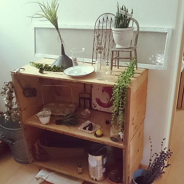 mintさんの実例写真