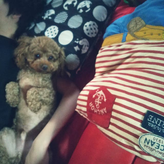 cherrycherryさんの実例写真