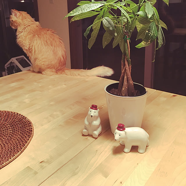 Keiさんの実例写真