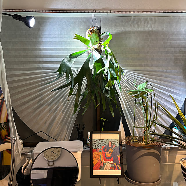 paris28さんの部屋