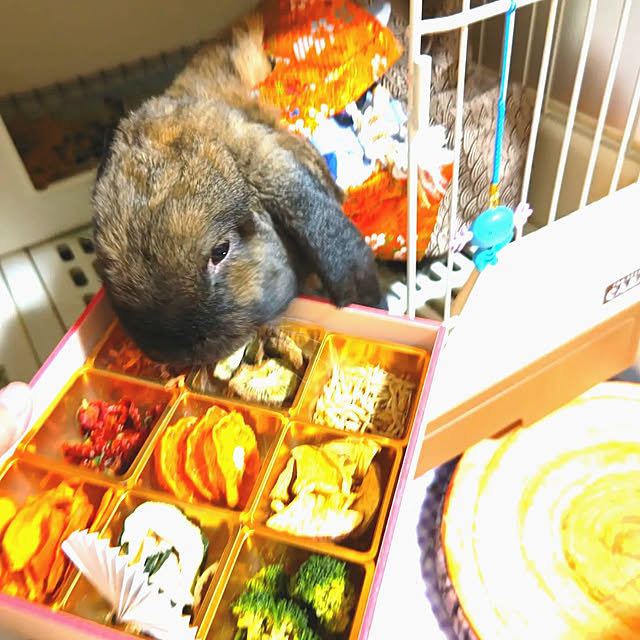 mariaさんの実例写真