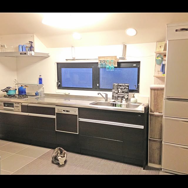 Aquiさんの実例写真