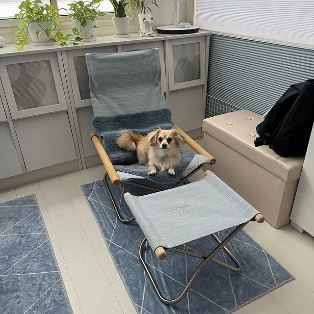 Rainyさんの部屋