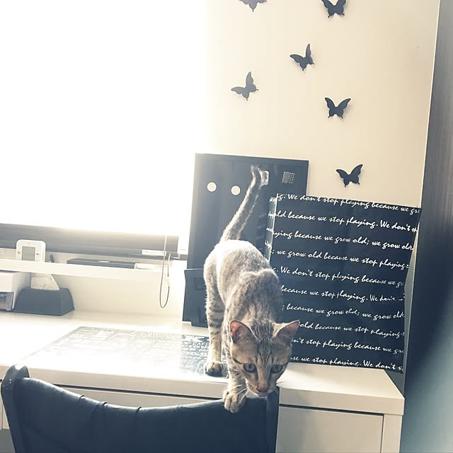yumiさんの実例写真