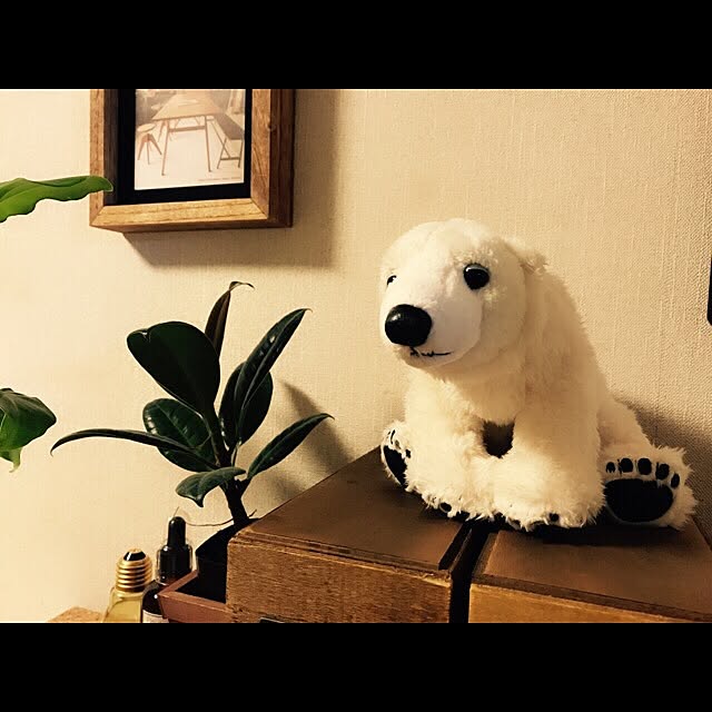 miiksさんの実例写真