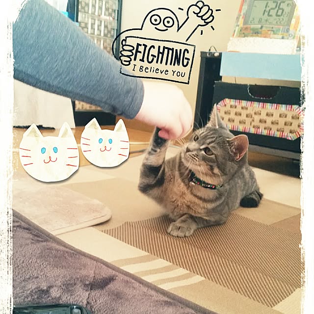 oyumiさんの実例写真