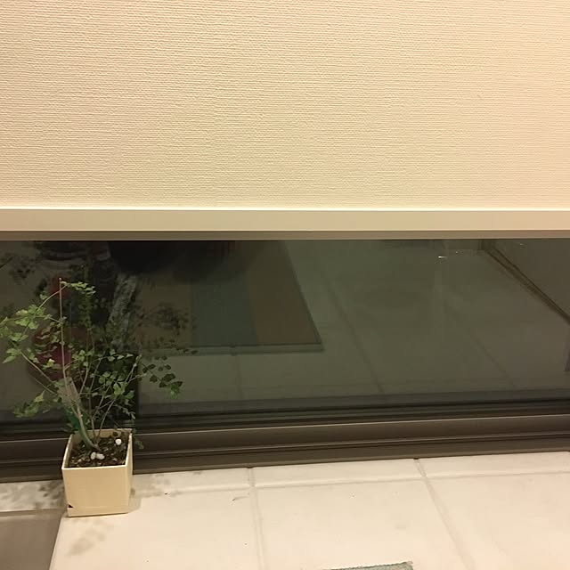 玄関/入り口/観葉植物のインテリア実例 - 2016-01-01 00:01:28