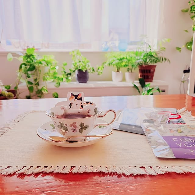 surviveさんの部屋