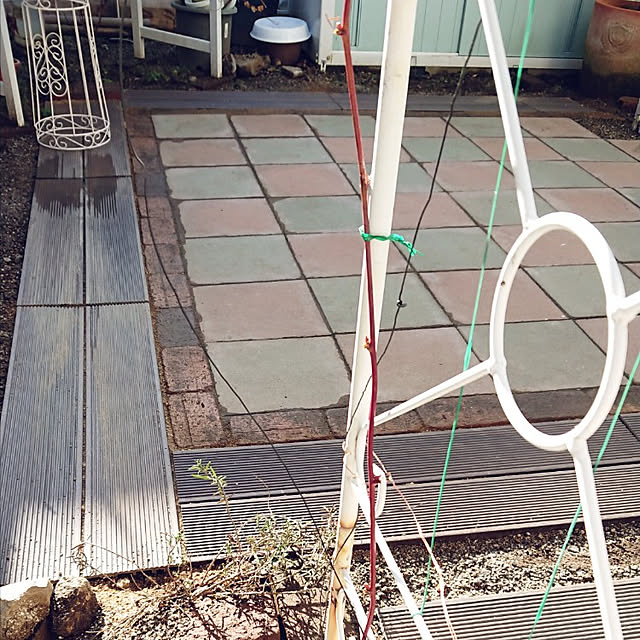 Bienvenueさんの実例写真