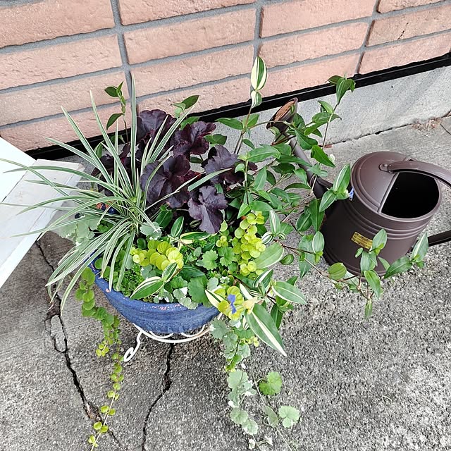 kiraさんの部屋