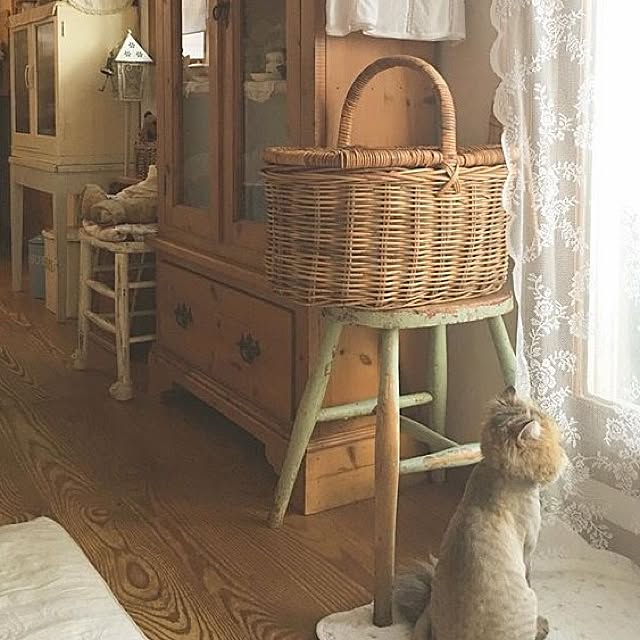 teddyさんの実例写真