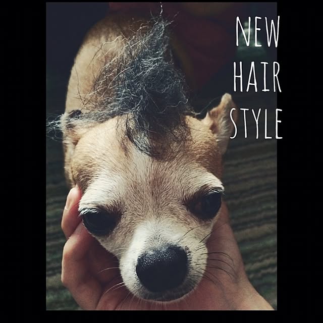akiyoさんの実例写真