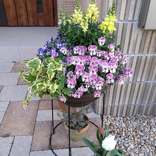 odecomaikoさんの実例写真