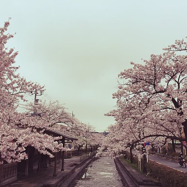 実例写真