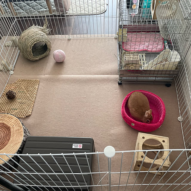 anaさんの実例写真