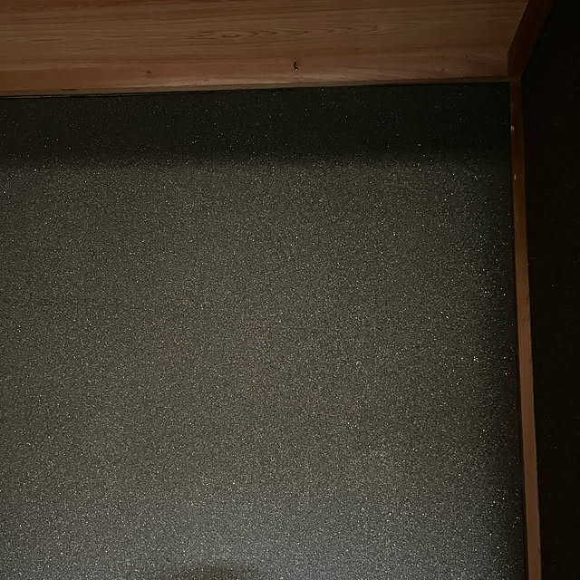 壁/天井のインテリア実例 - 2024-04-03 15:03:41