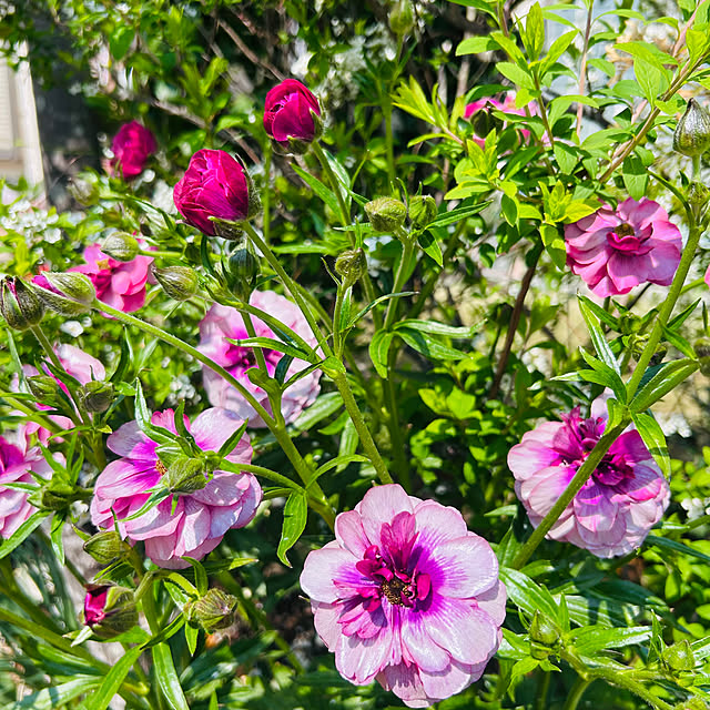 sunabaさんの部屋