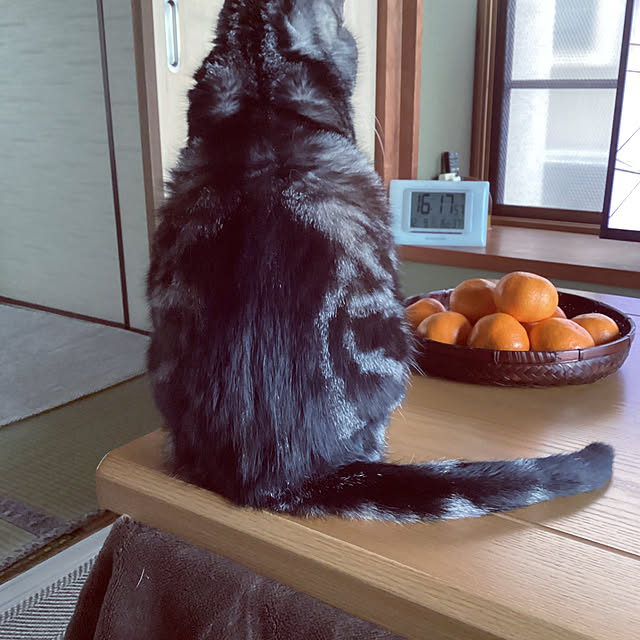 richanさんの部屋