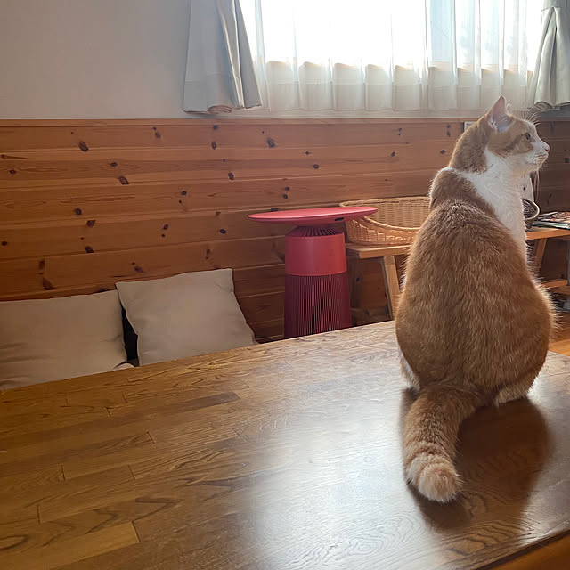 senbei.sakuramochiさんの実例写真