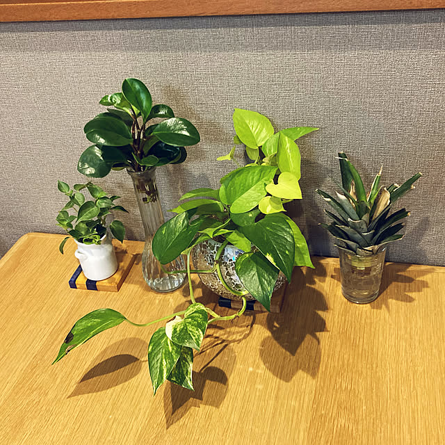 1546さんの実例写真