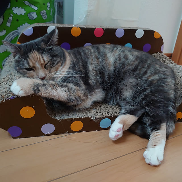 shinobuさんの実例写真