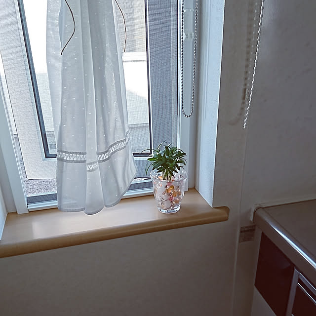 yukaさんの実例写真