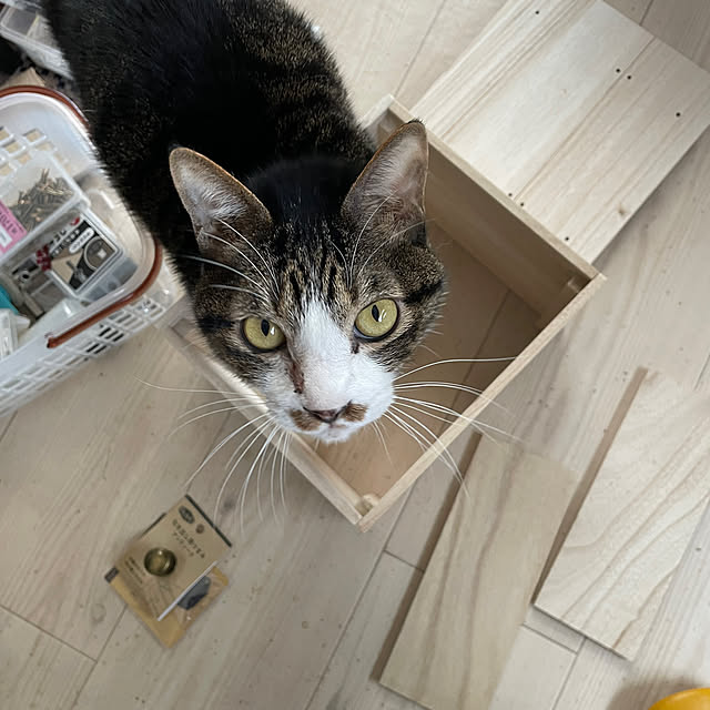 coolcats0528さんの部屋