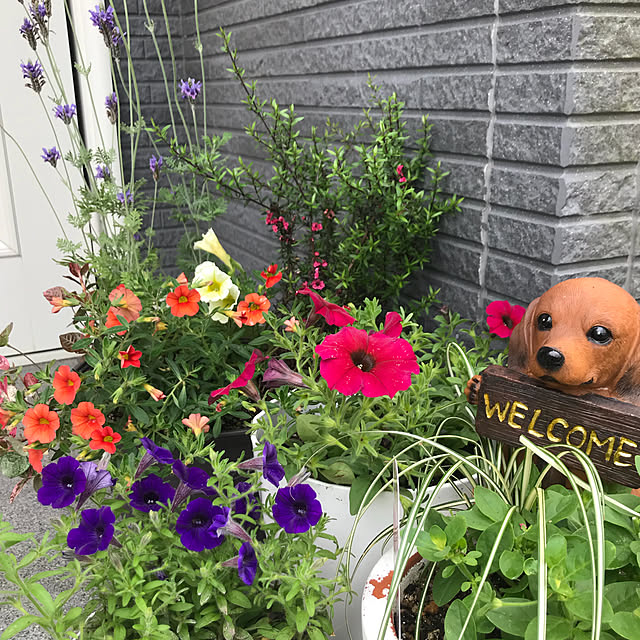 emikoさんの実例写真