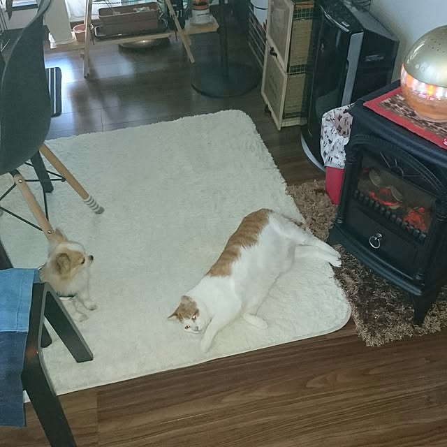 porinさんの実例写真