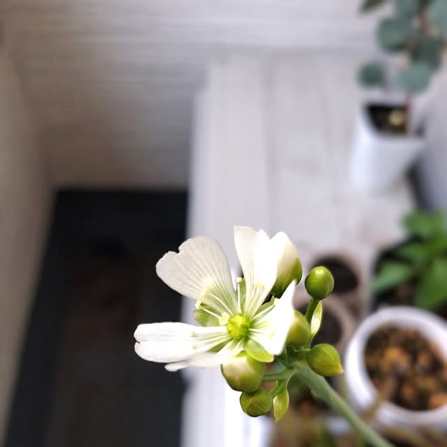 tamaさんの部屋