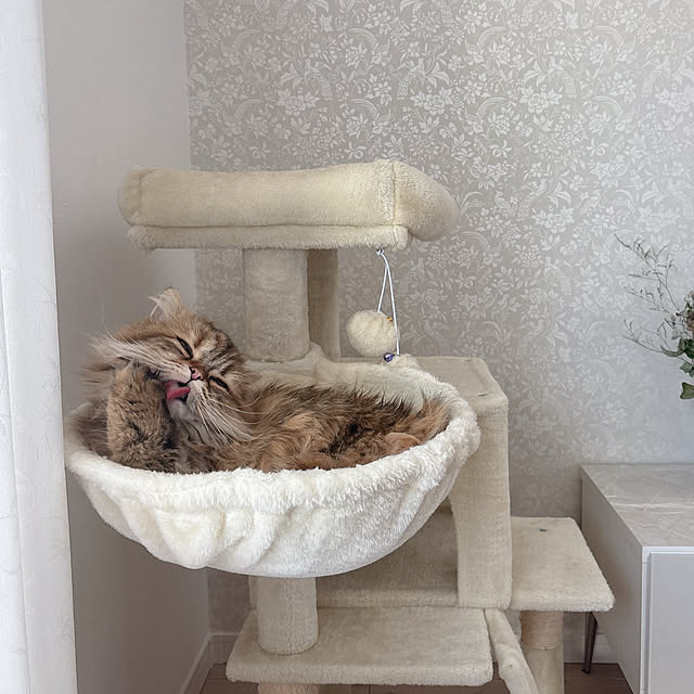 miyu39さんの部屋