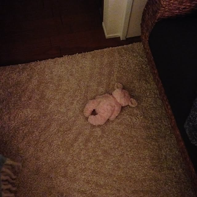 korinさんの実例写真