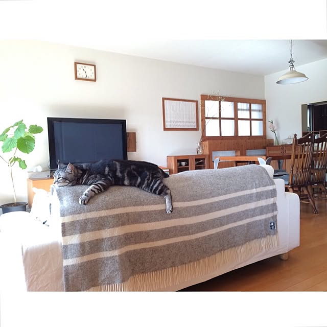 AKW0RKSさんの実例写真