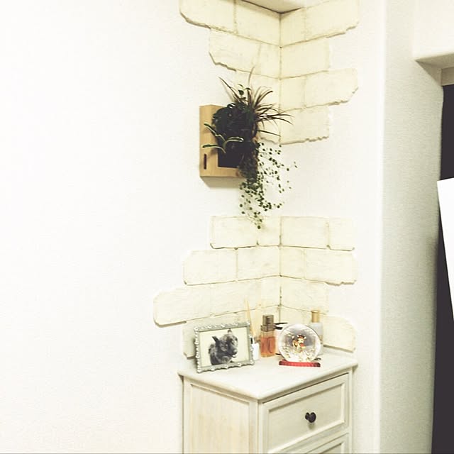parisien.chocolatさんの実例写真