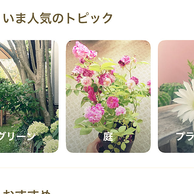 KYONさんの実例写真