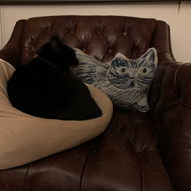 meeさんの実例写真