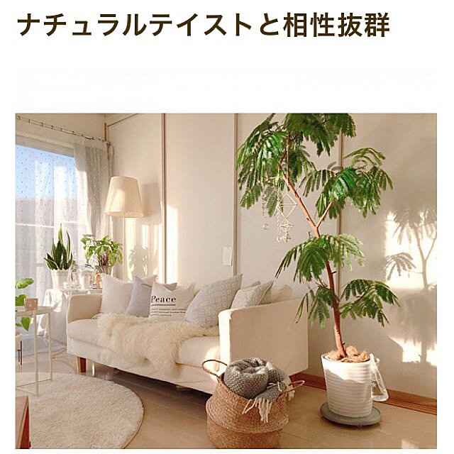 Rさんの実例写真