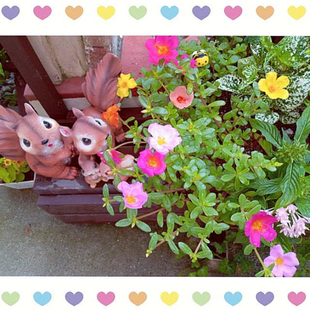 mocomocoさんの実例写真
