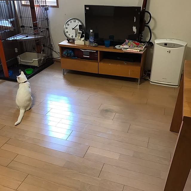 ranさんの実例写真