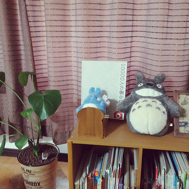 aquaさんの実例写真