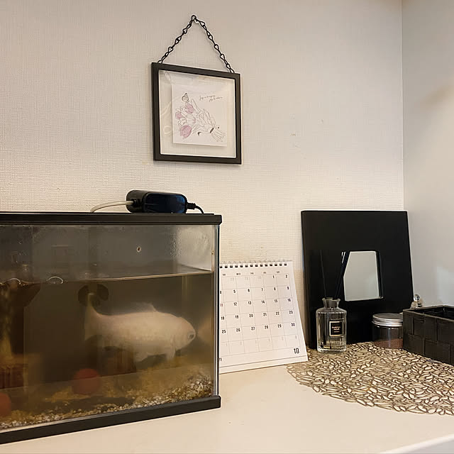 水槽/金魚/ダイソー/セリア/ホワイトインテリア...などのインテリア実例 - 2021-10-01 12:59:49