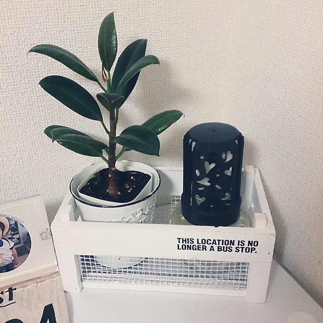 kaanaさんの実例写真
