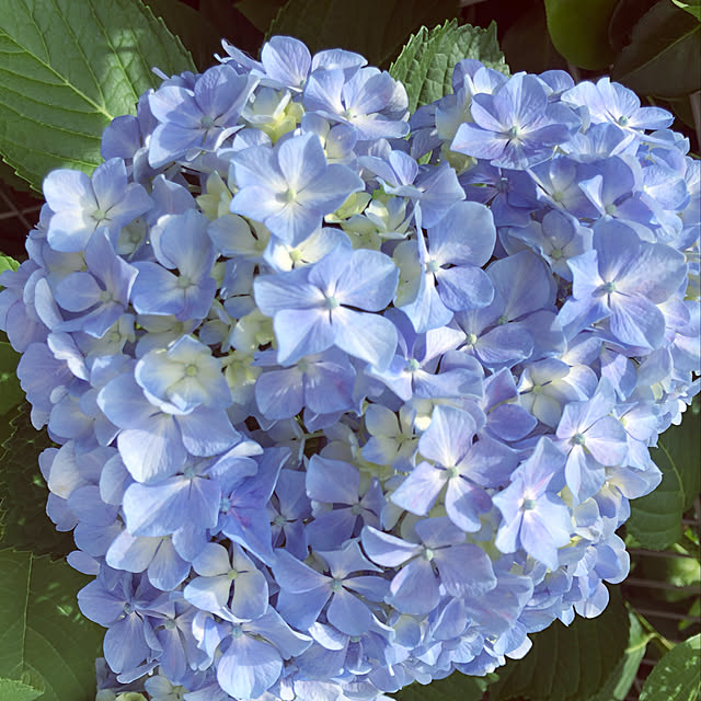 yukatavillaさんの実例写真