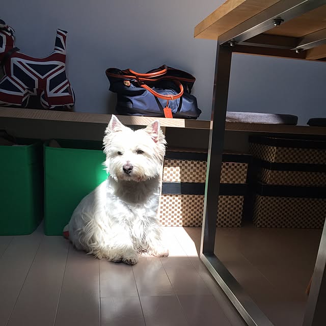 Fuyueさんの実例写真