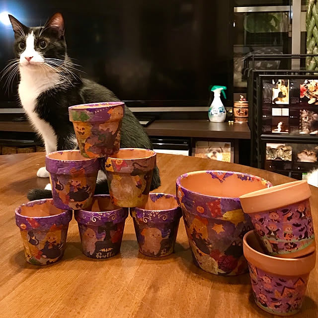 butachanさんの実例写真