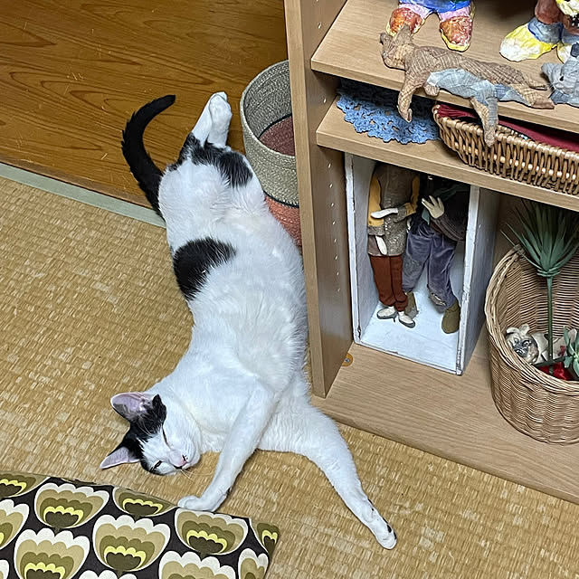 nobikoさんの部屋