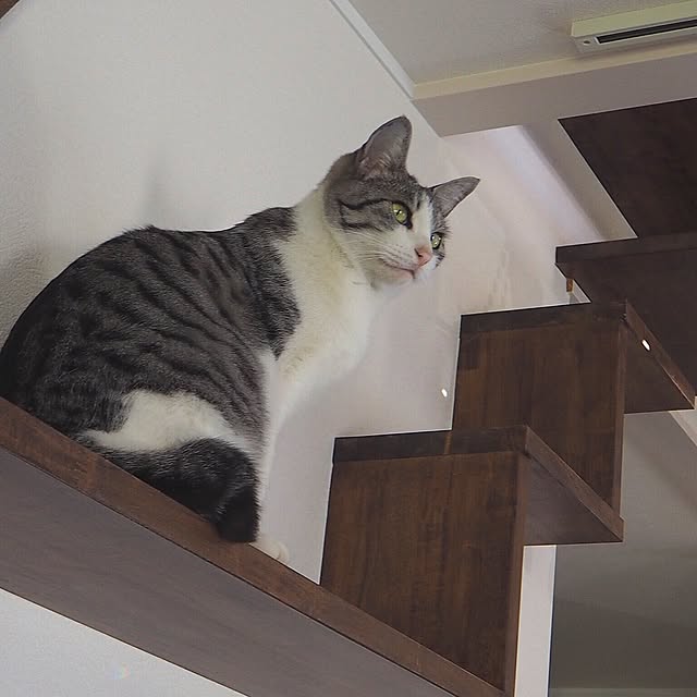 Haruさんの実例写真