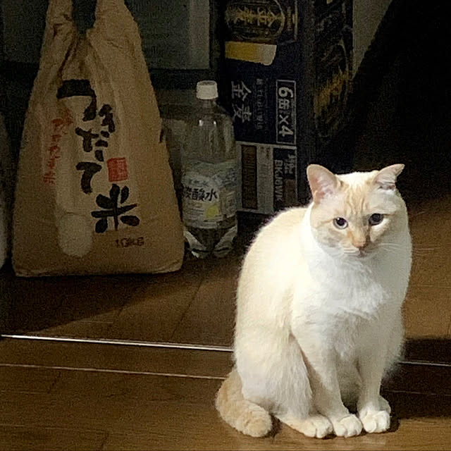 himetanさんの実例写真